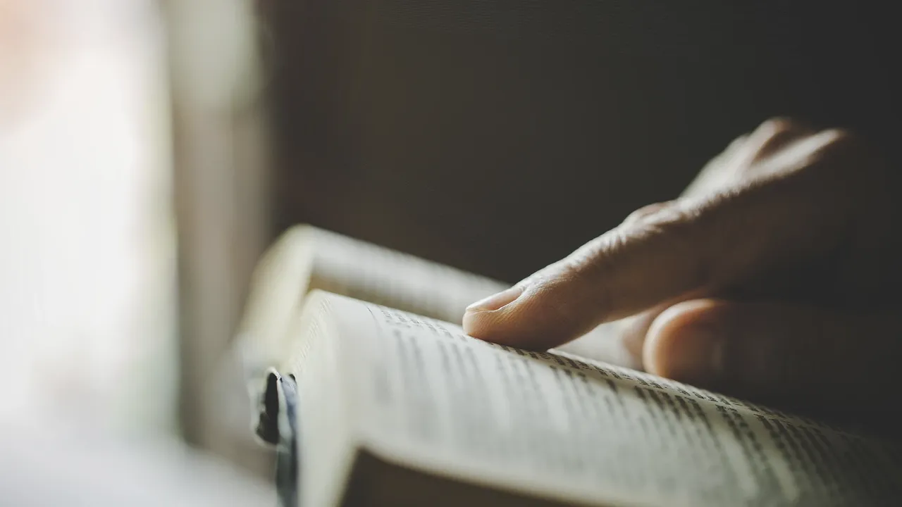 Dove flying over an open book at sunset stock photo.