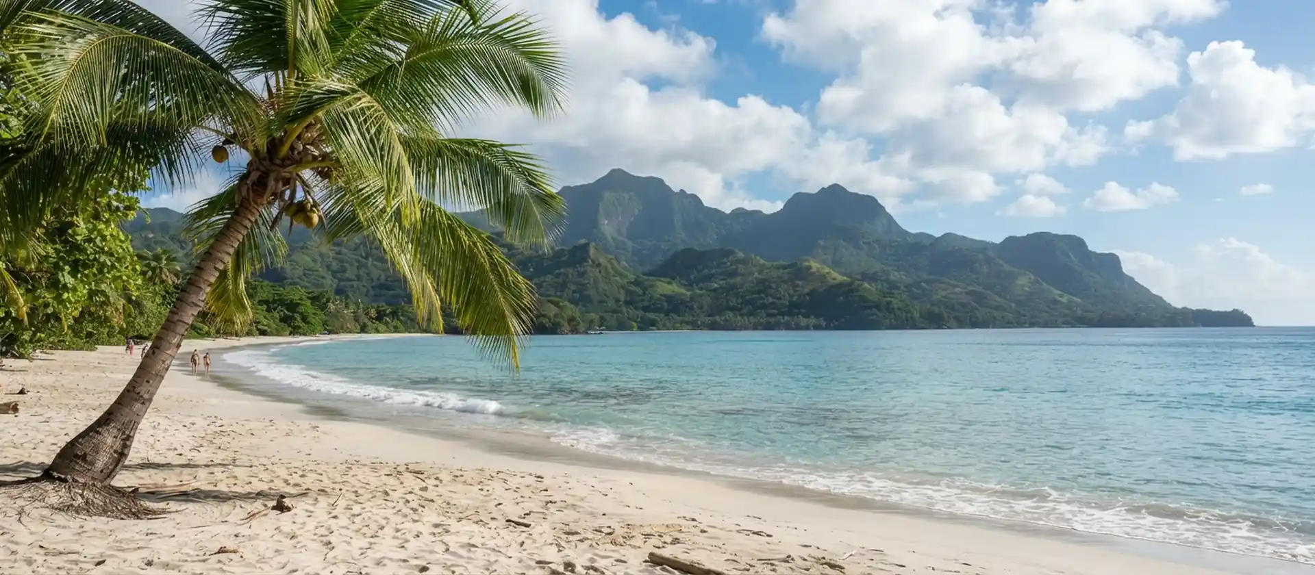 Palme an einem tropischen Sandstrand mit türkisem Meer und Bergen im Hintergrund
